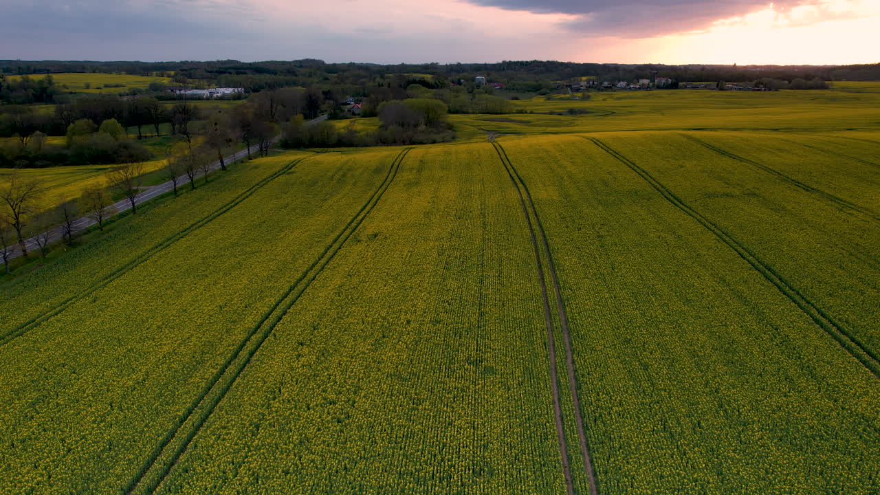 Aerial drone descends above green farm fields with tractor tracks