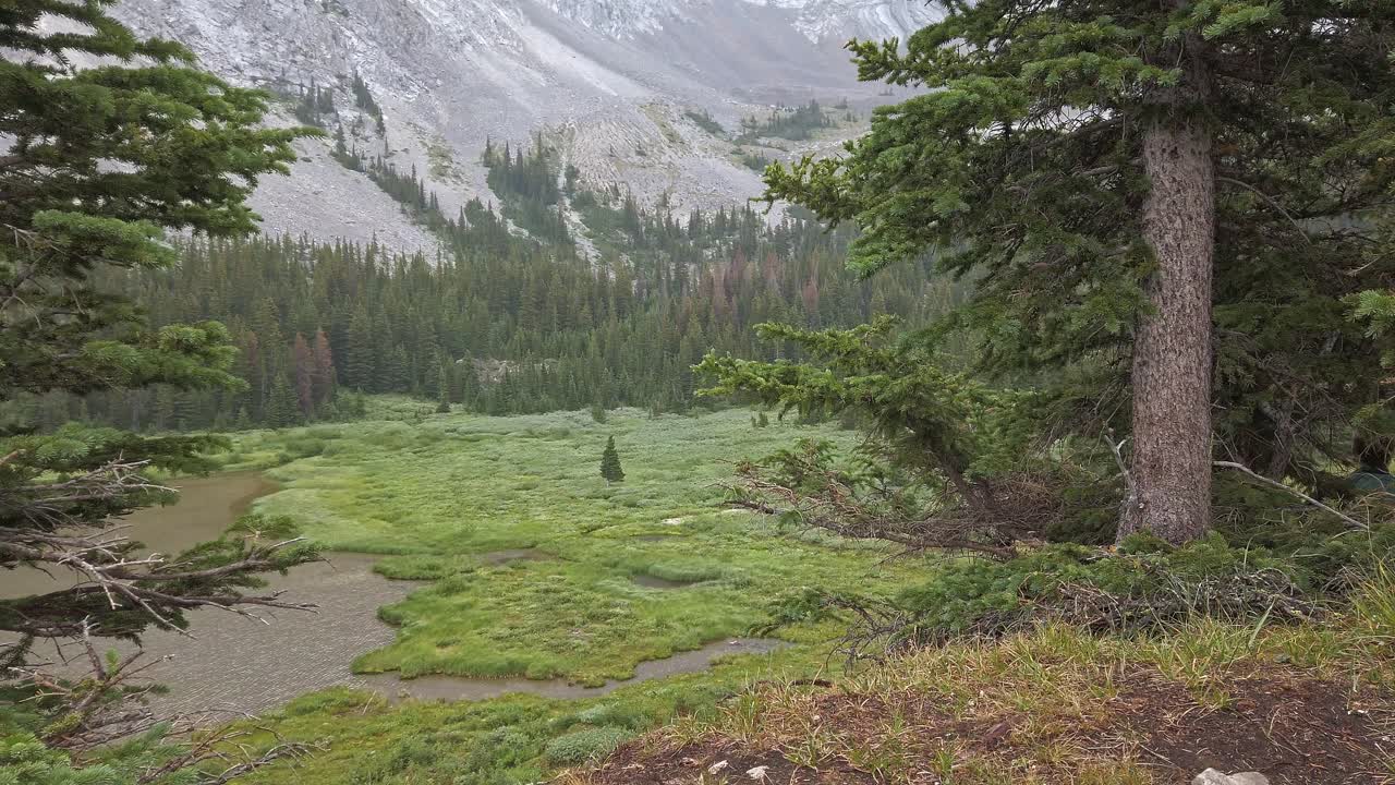 el valle del bosque del estanque de montaña se acercó a las rocas rocosas de kananaskis, alberta, canadá