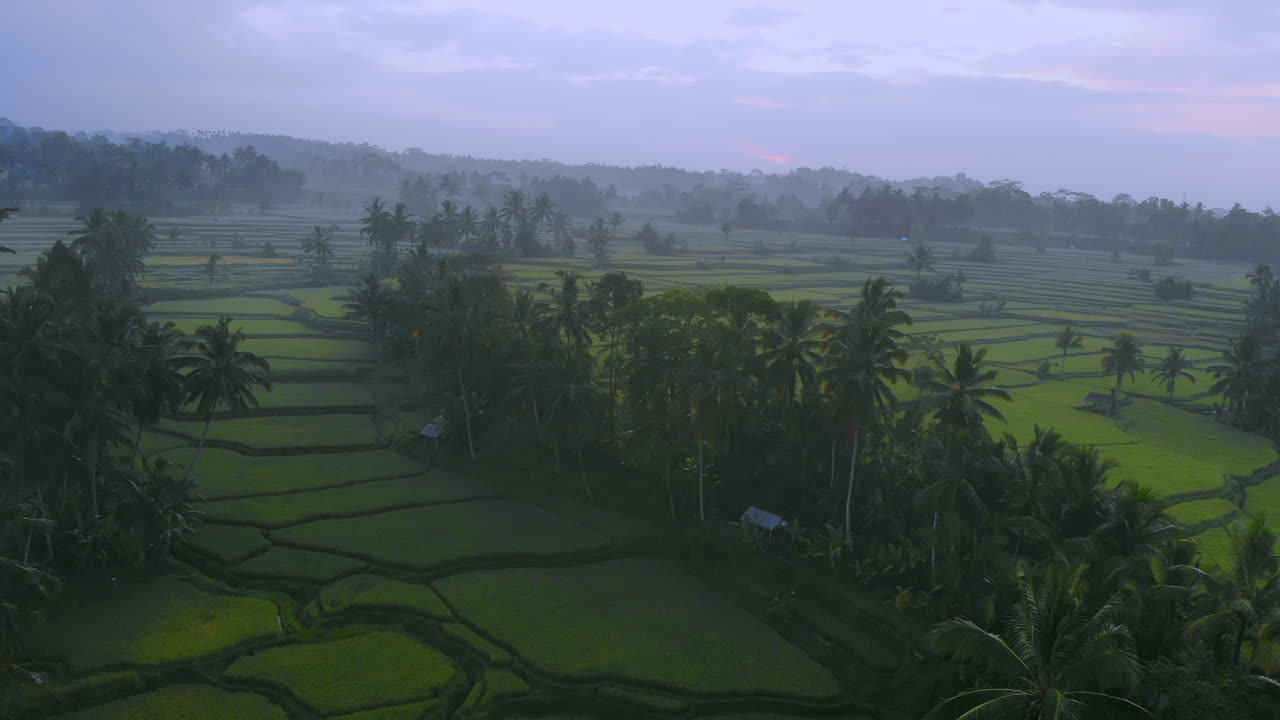 toma de drones de los campos de arroz durante el amanecer en bali