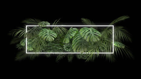 tropical plant with neon light on an alpha channel