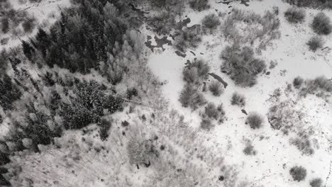 flying over frozen winter landmark with aerial view of a hoar frost covered forest.