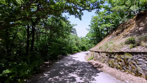 Eine-Malerische-Fahrt-Durch-Die-üppigen-Wälder-Der-Krim