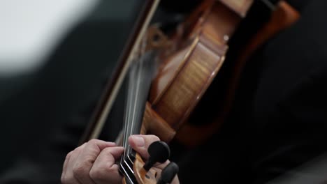 violin music instrument on hands of professional violinist performing on concert