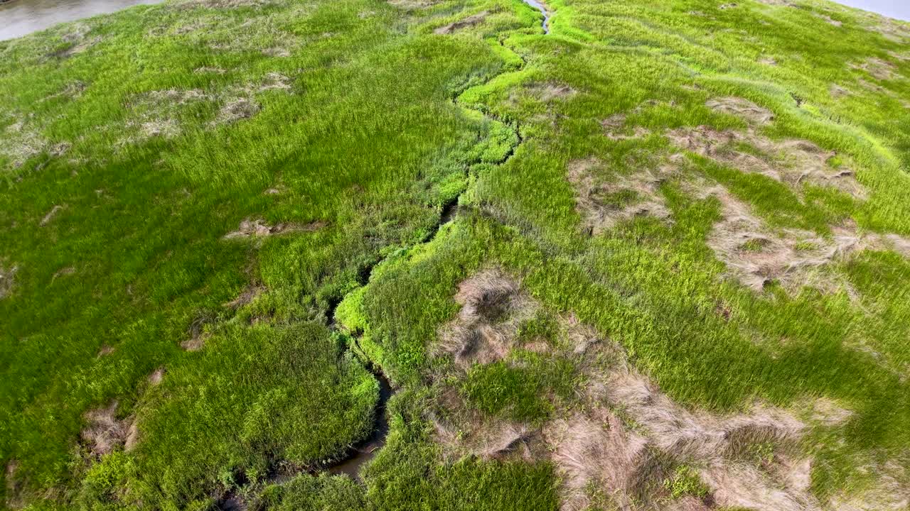 Dronebilde i luftperspektiv av en frodig, grønn myr eller gresslette i Middleton Place Plantation nær Charleston, South Carolina, som viser vegetasjonsflekker og svingete vannkanaler