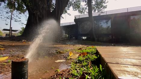 sistema de riego para nuestro huerto urbano - cámara lenta-3