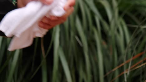 close up of hand dipping cloth in water bowl then pressing water out inside spa massage session.