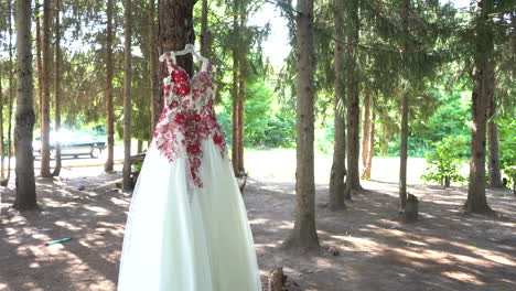 Vestido-Quinceañera-Mexicano-Rojo-Y-Blanco-En-árbol-Establecimiento-Tiro