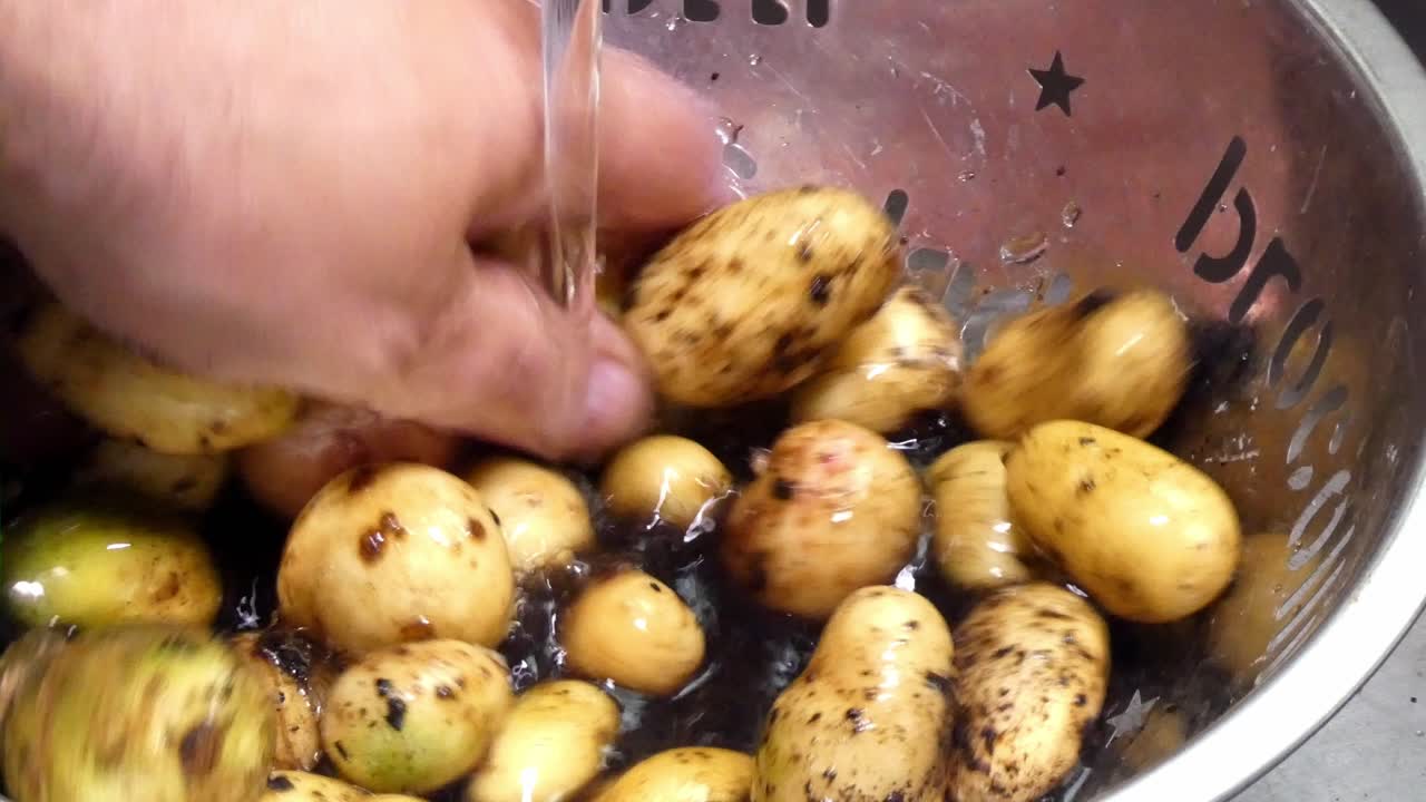colorido surtido mixto de patatas de cosecha propia lavadas en un colador de cocina plateado