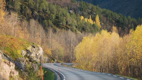 Una-Estrecha-Carretera-Asfaltada-En-El-Paisaje-Otoñal-Iluminado-Por-El-Sol