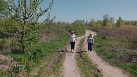 two women walking on a country road in spring