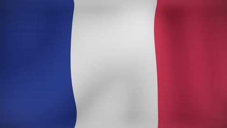 Animation-of-fireworks-over-flag-of-france