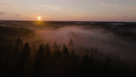 panoramic drone shot circling foggy woodlands, moody sunset in the nordics