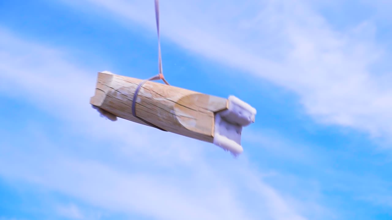 크레인 에 의해 들어 올려지는 나무