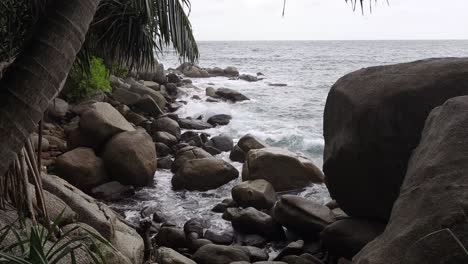 rocky tropical coastline with crashing waves