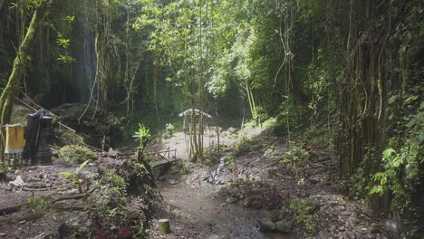 Slow-flight-up-small-jungle-stream-vines-toward