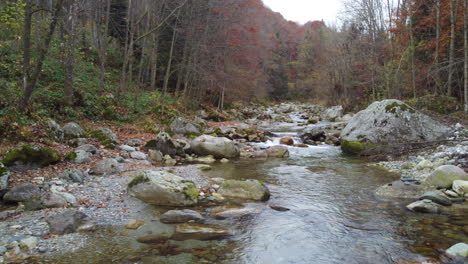 river in mountain forest at autumn foliage aerial view