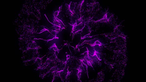 animation of many pink particles