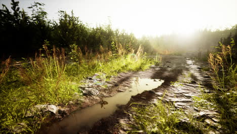 ground dirty road through fields