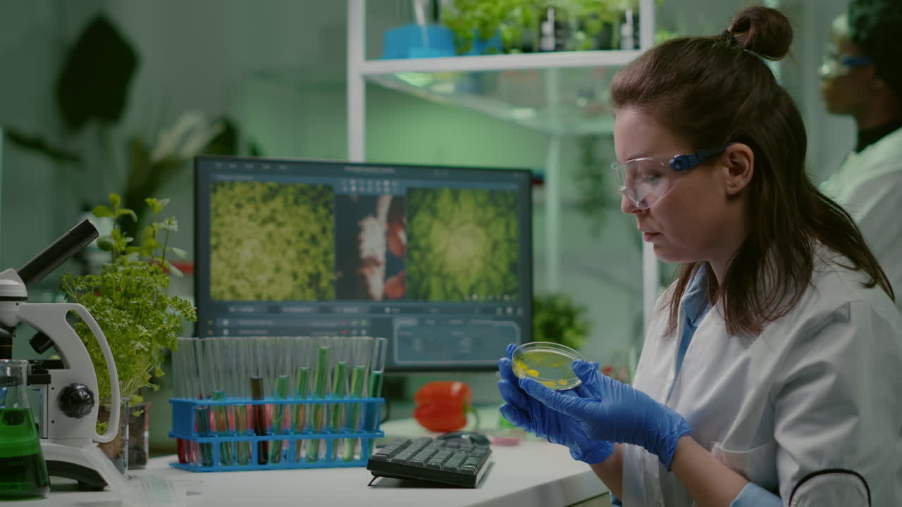 Pharmaceutical researcher analyzing solution test from petri dish