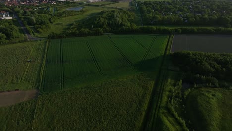 Vista-Aérea-De-Impresionantes-Campos-Verdes-Sembrados-En-Zelanda,-Países-Bajos