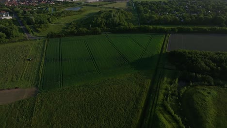 vista aérea de los impresionantes campos verdes sembrados en zelanda, países bajos