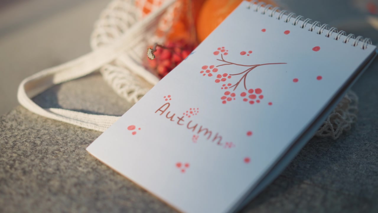 Quaderno autunnale con bacche in un sacchetto a rete