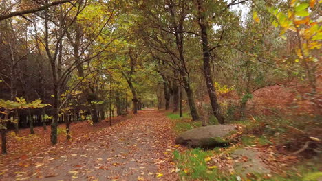 Drohnenschuss-Fliegt-Durch-Den-Pfad-Auf-Dem-Jakobsweg,-Camino-De-Santiago-In-Spanien