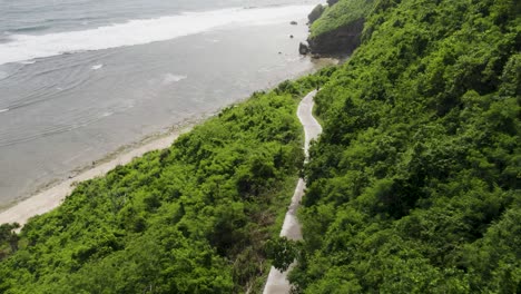 Rider-on-a-scooter-along-a-scenic-coastal-road-surrounded-by-lush-greenery-in-Uluwatu