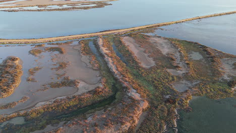 aerial view of wetlands in cadiz, spain