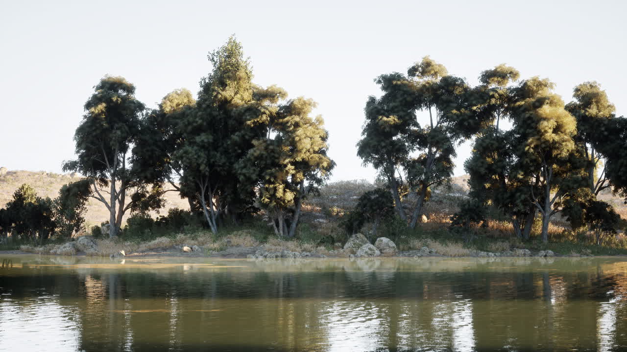 vista tranquila de la orilla del lago con árboles exuberantes y la suave luz de la mañana