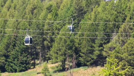 cable cars moving through a forested area