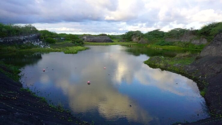 a small pond in the Galapagos