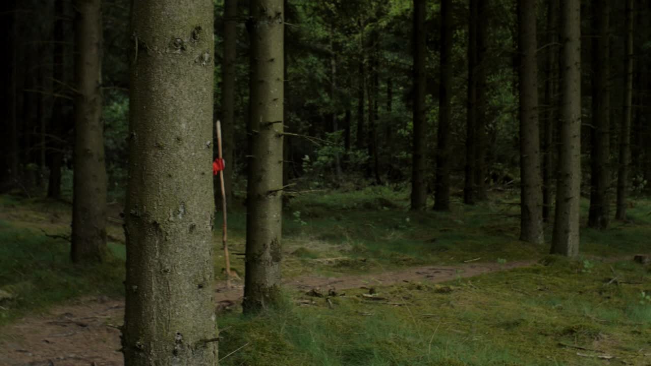 excursionista caminando por un sendero en el bosque, cámara panorámica de izquierda a derecha para seguir el movimiento, toma amplia