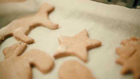 hands are putting down freshly pressed cookies onto baking tray in slow motion