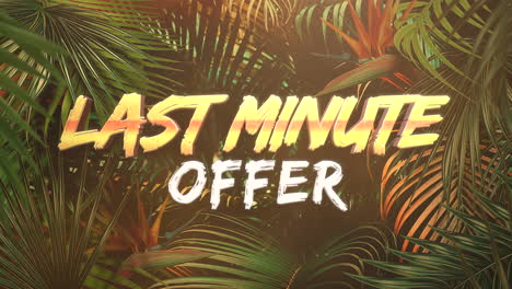 last minute offer with tropical palms in jungle