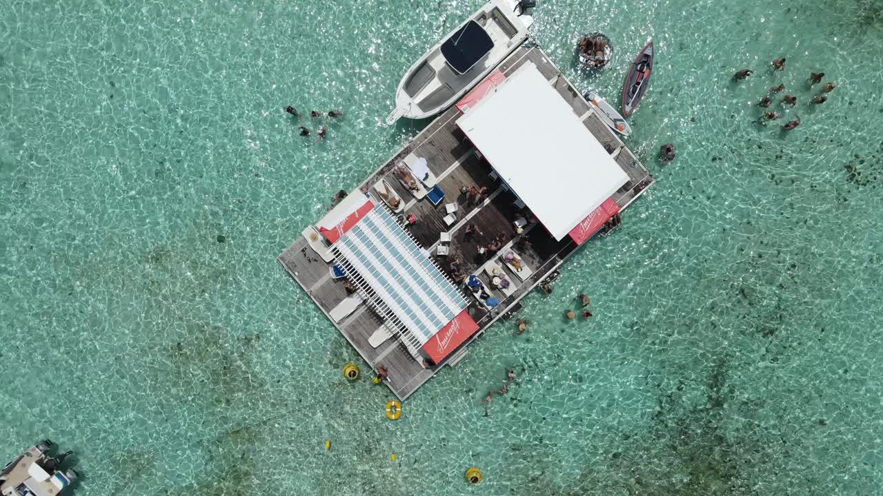 카리브 해 한가운데 에서 즐길 수 있는 디스코