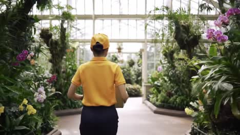 a dedicated worker in an lush greenhouse: exploring tropical flora and fostering a connection with nature through gardening duties
