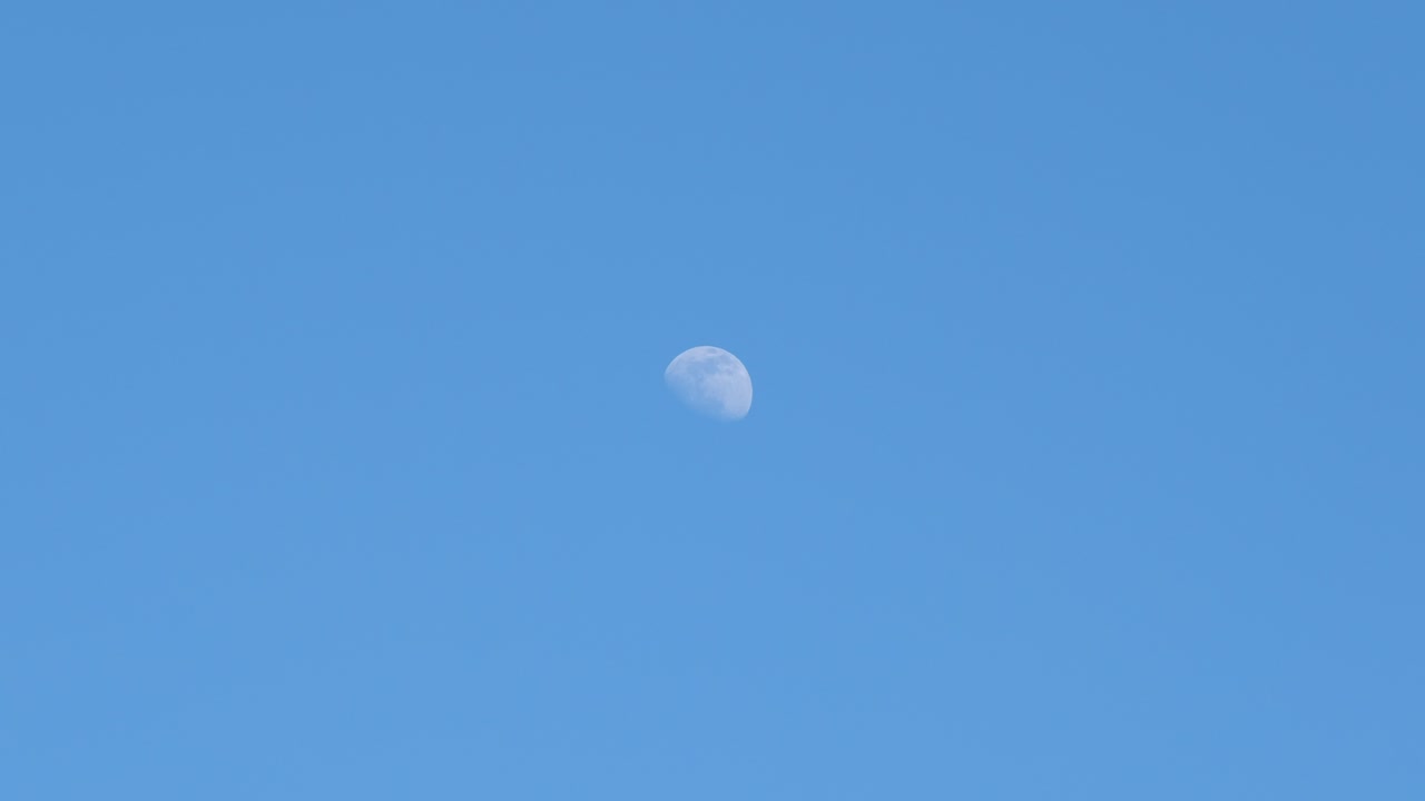 낮에는 반달이 보인다.