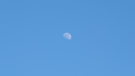 the half moon visible in the daytime.