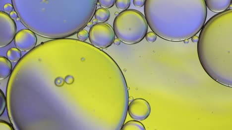 colorful artistic of oil drop floating on the water.
