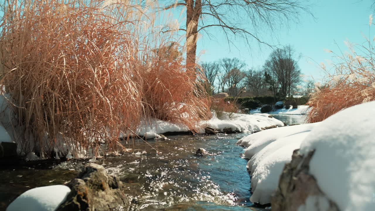 tiro panorâmico lento à direita do rio de inverno se esvaziando no lago