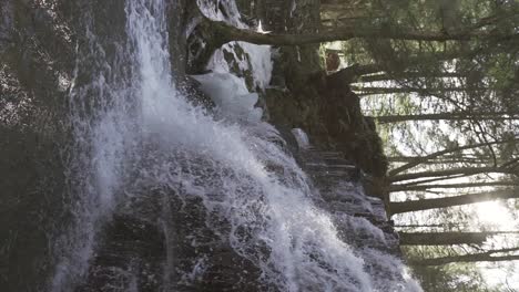 cascada en el bosque en el centro de pennsylvania, tarde de invierno - rosecrans falls