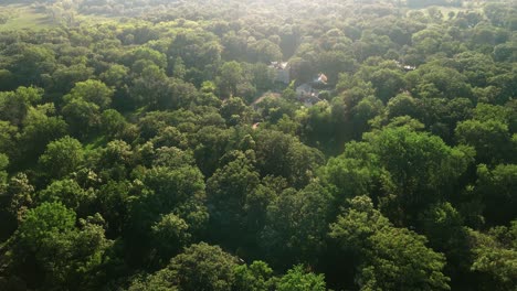 A-drone-shot-of-castle-like-residential-building-surrounded-by-green-trees-in-town