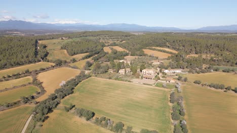 aerial view of nature sown field without people snowy pyrenees mountain in the background