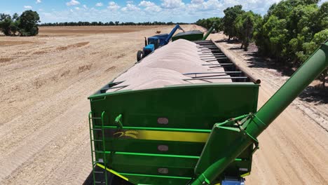 explore the cutting-edge machinery and precision in action during a large-scale lupin harvesting operation