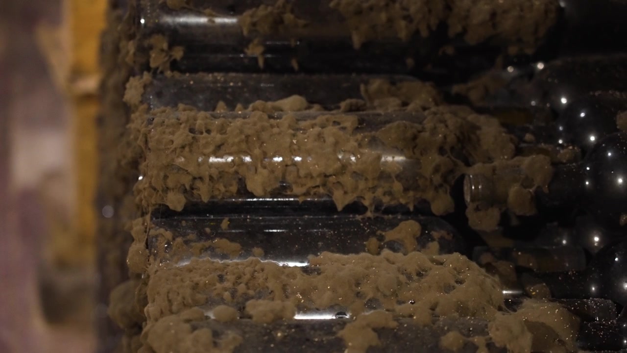 Old vintage wine bottles covered in mold aging in a dark underground cellar