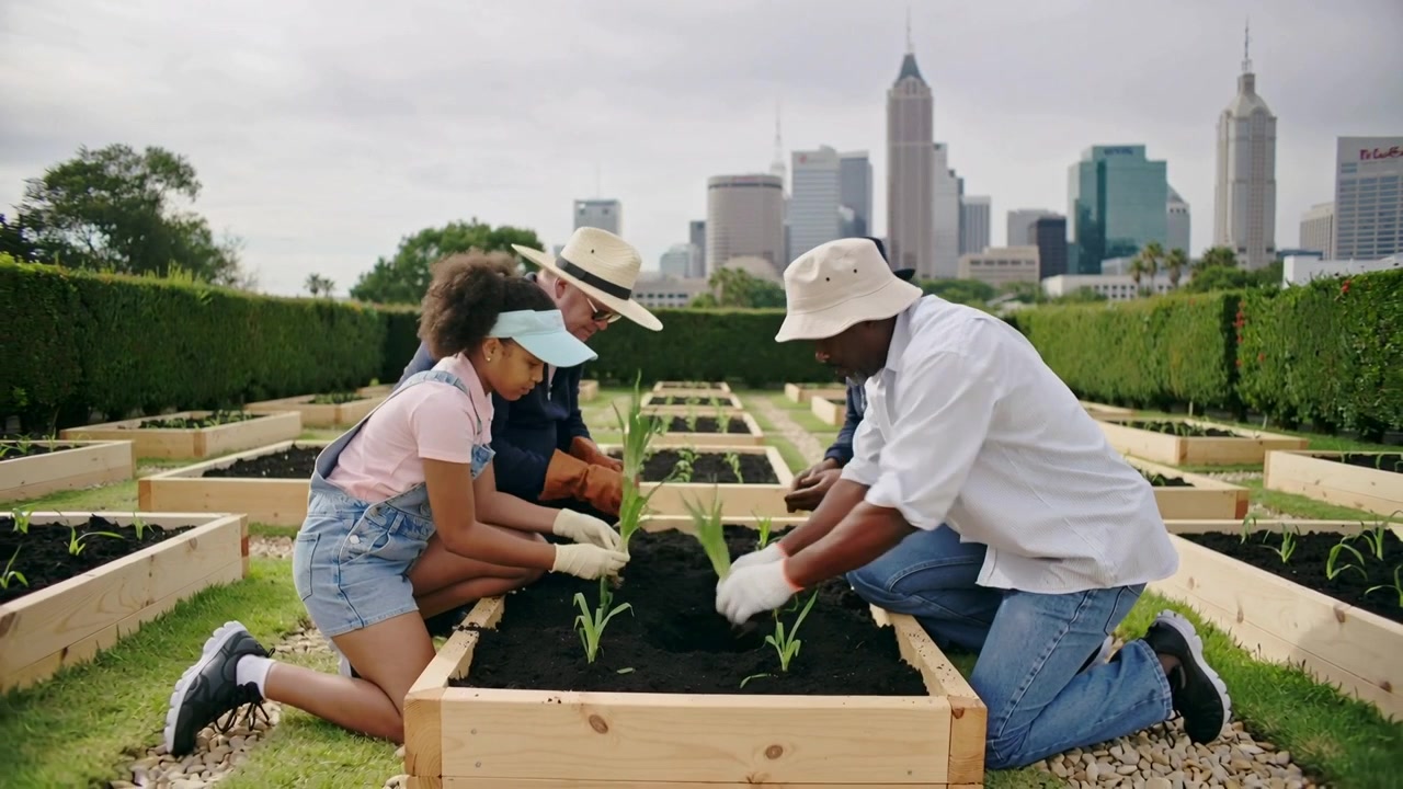 Planting four gardeners spotting taller plant, kneeling in city garden with gloves