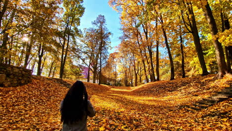 autumn walk in lielvārdes park, latvia with vibrant foliage all around