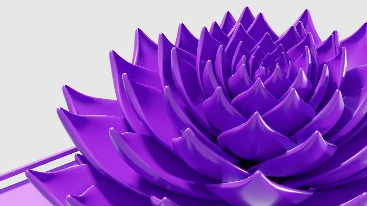 A digital art animation of purple lotus flower opening in loop 3d ...