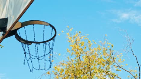 a basketball ball flies into the basket.